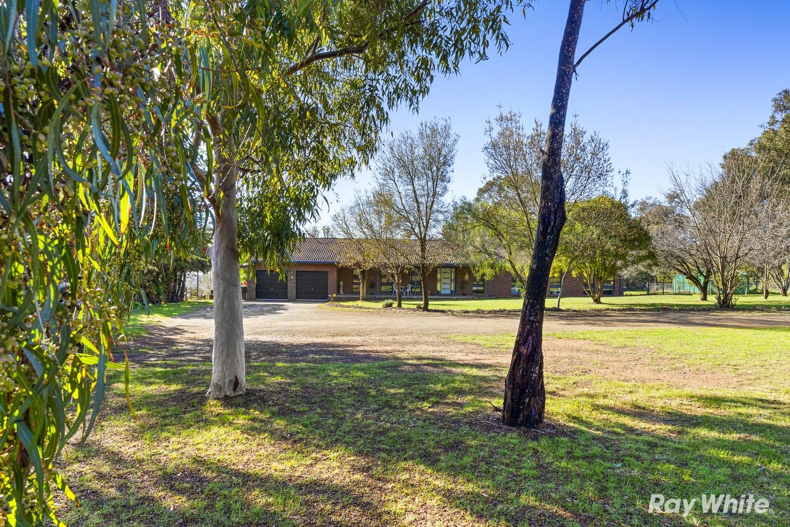 7 Poplar Road, Lake Albert NSW 2650, Image 0