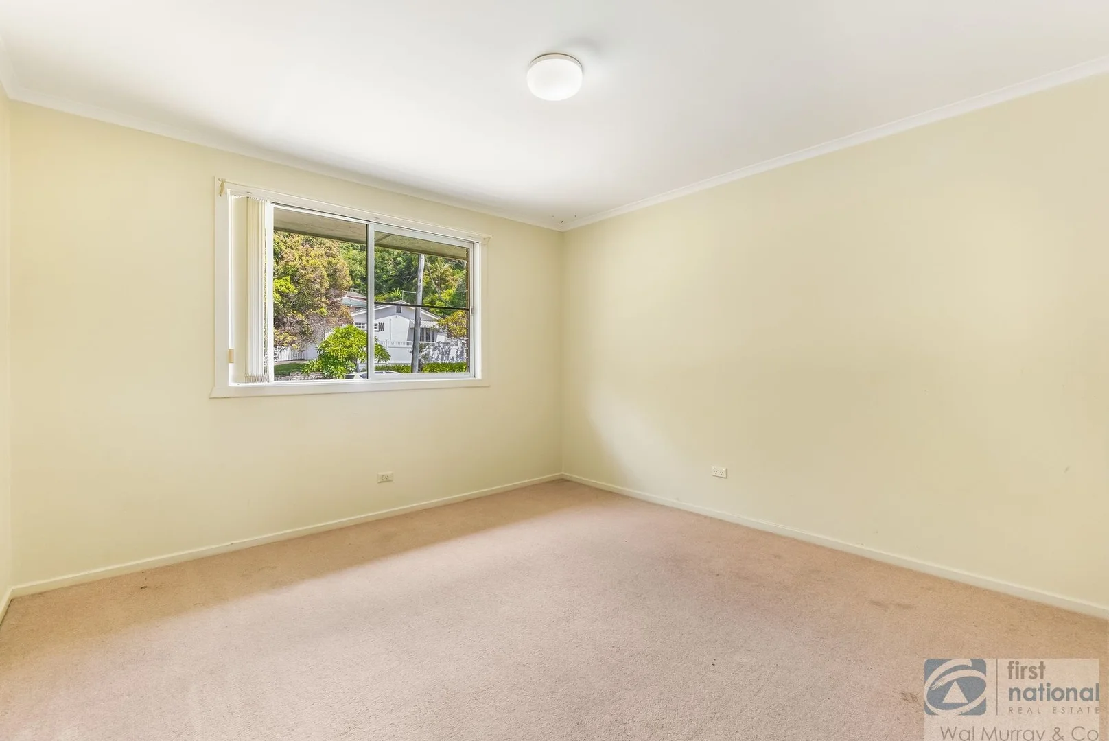 Additional image 5 of 11 Conte Street, East Lismore NSW 2480