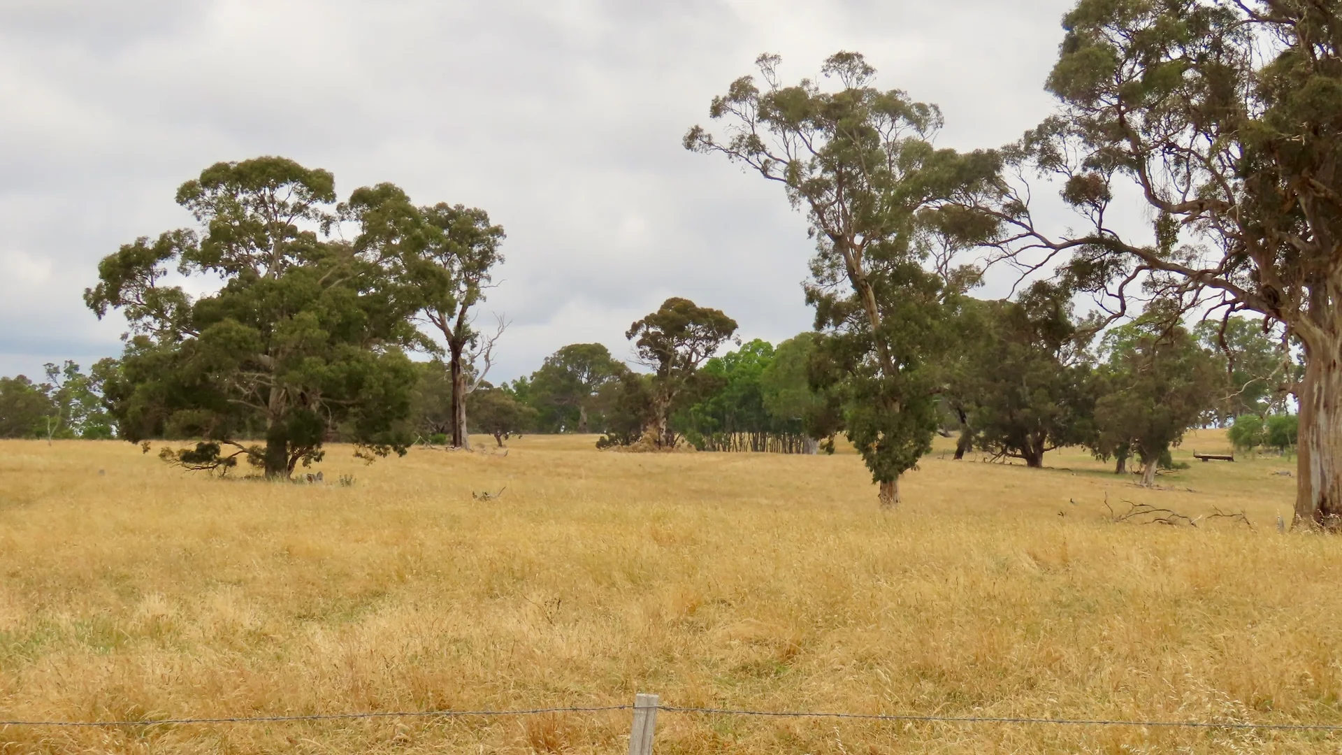 Additional image 9 of 596 Mostyn Lane, Balmoral VIC 3407