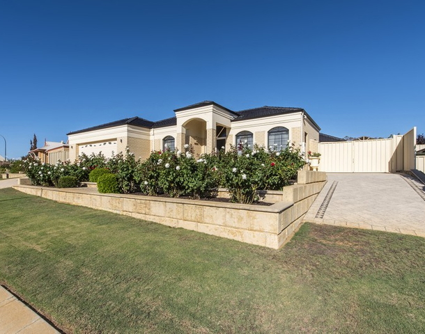 20 Hoskin Way, Baldivis WA 6171