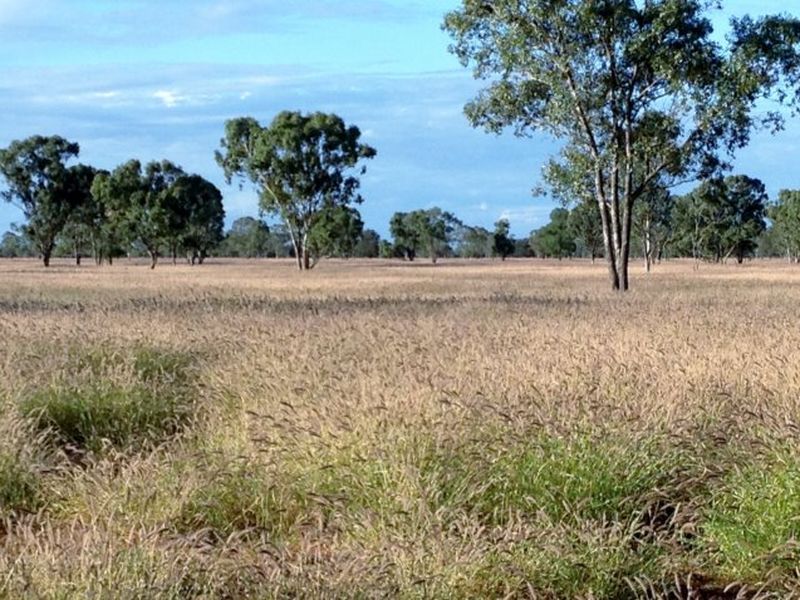 0 Part 'Bethelen', Thallon QLD 4497, Image 0