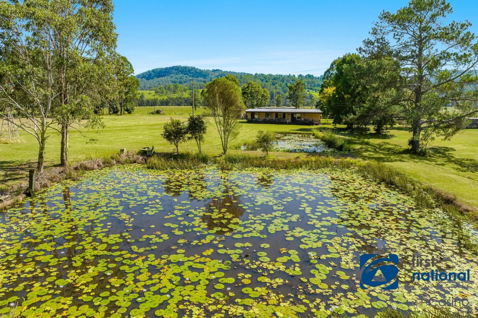 7 Peacock Creek Road, Bonalbo NSW 2469 Domain