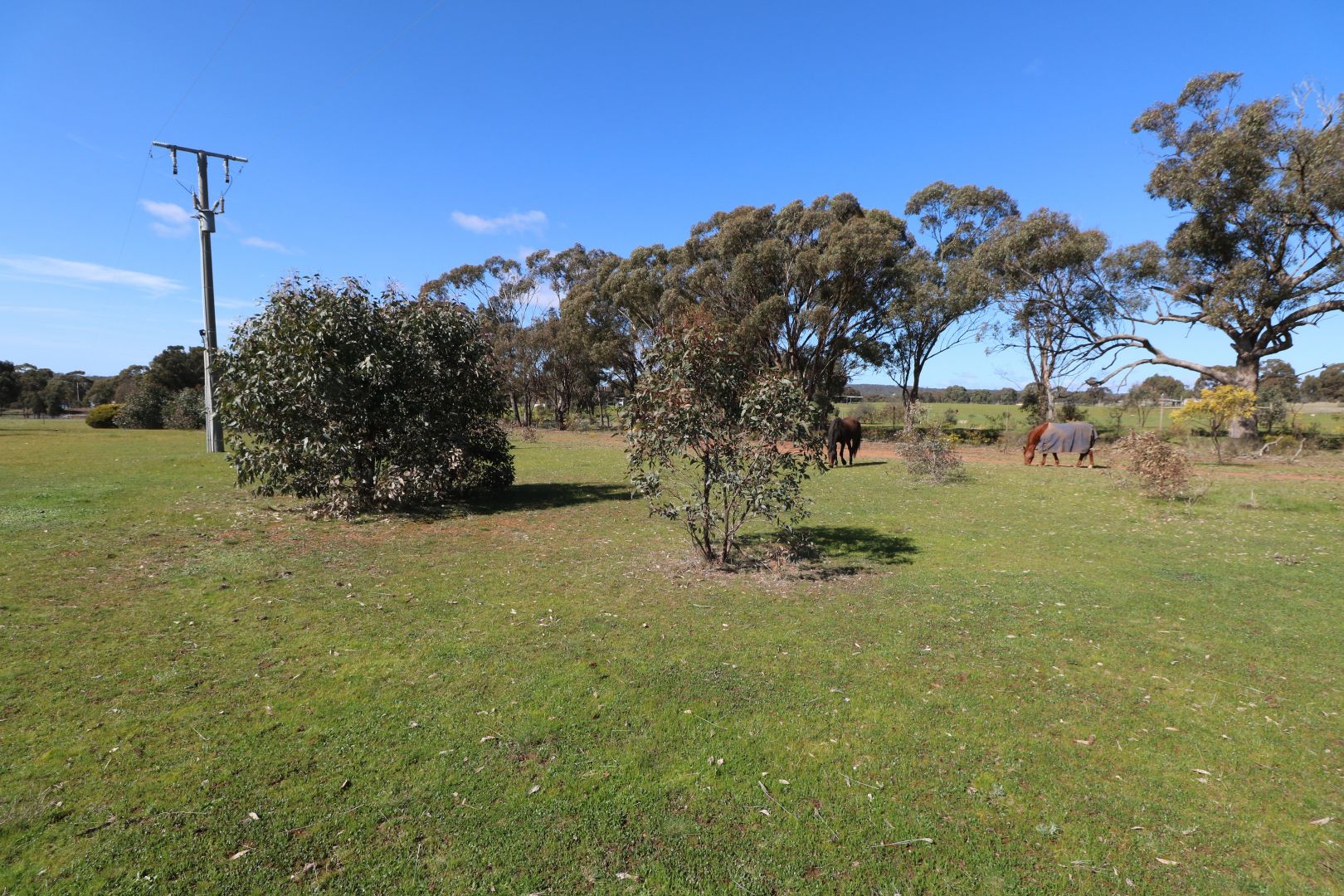 Lot 1 Scotts - Titwobble Lane, Wedderburn VIC 3518, Image 1