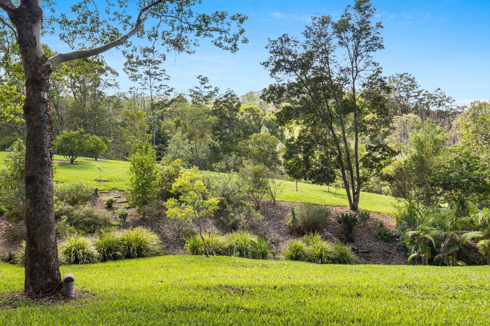 601 Limpinwood Road, Limpinwood NSW 2484, Image 1