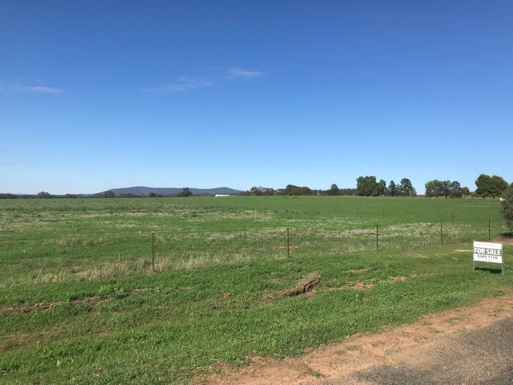 Lot 846 Manganese Road, Grenfell NSW 2810, Image 1