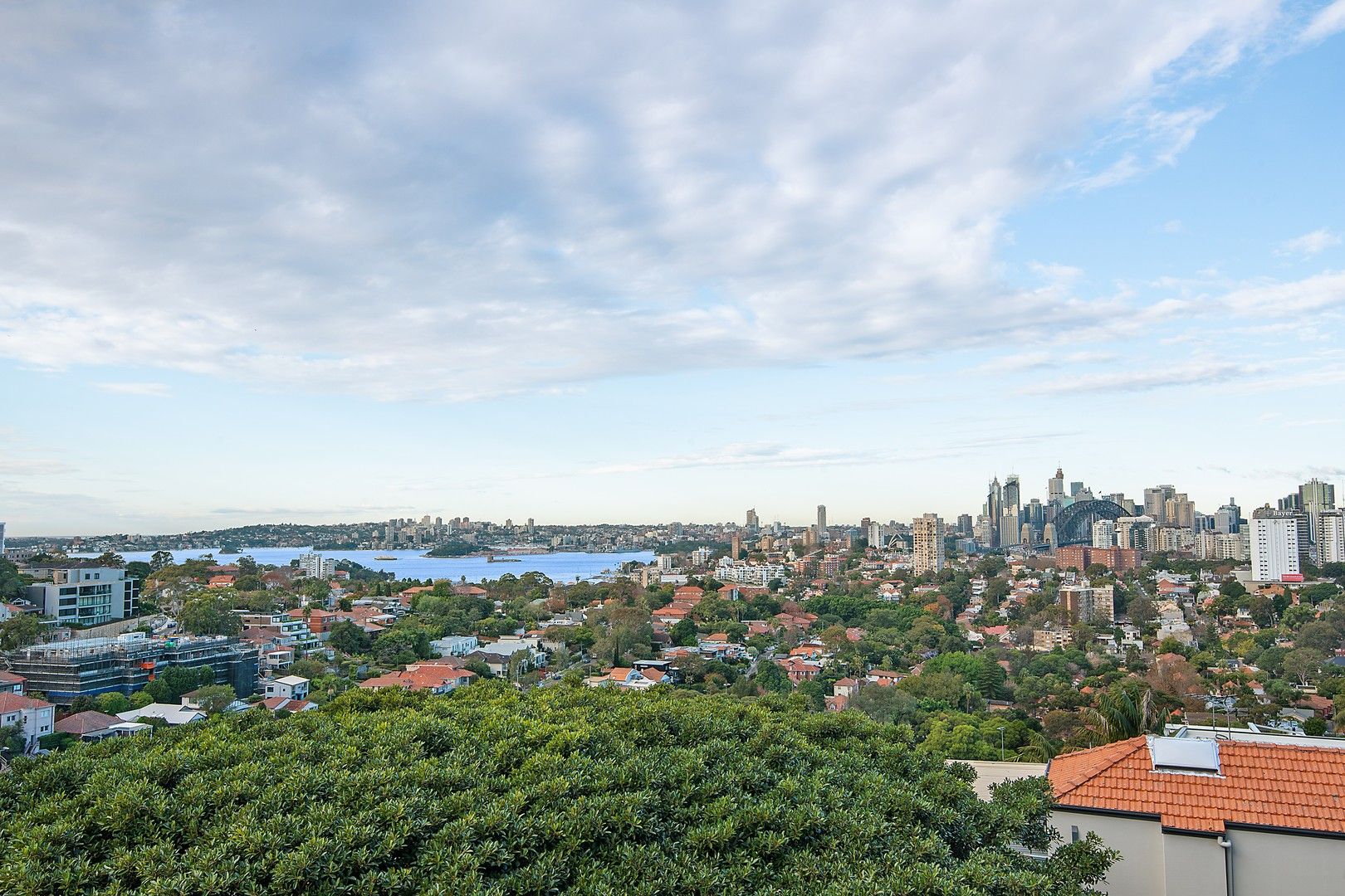 306/15 Wyagdon Street, Neutral Bay NSW 2089, Image 0