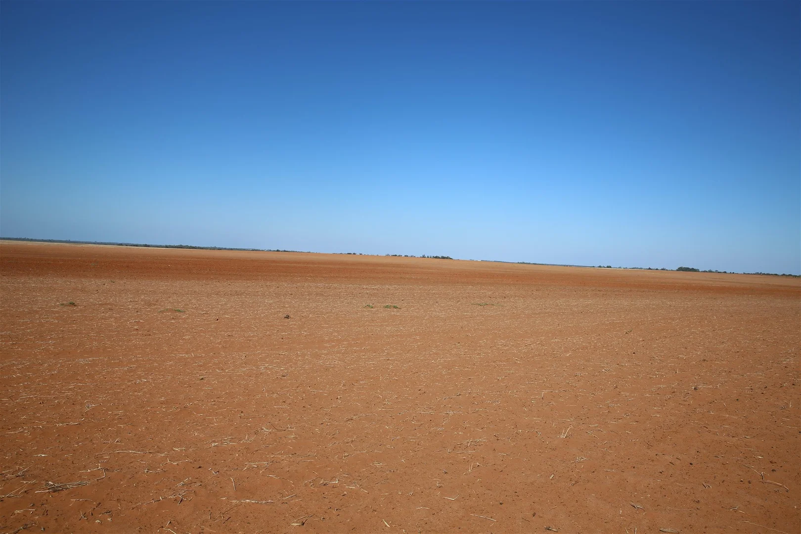 Image 13