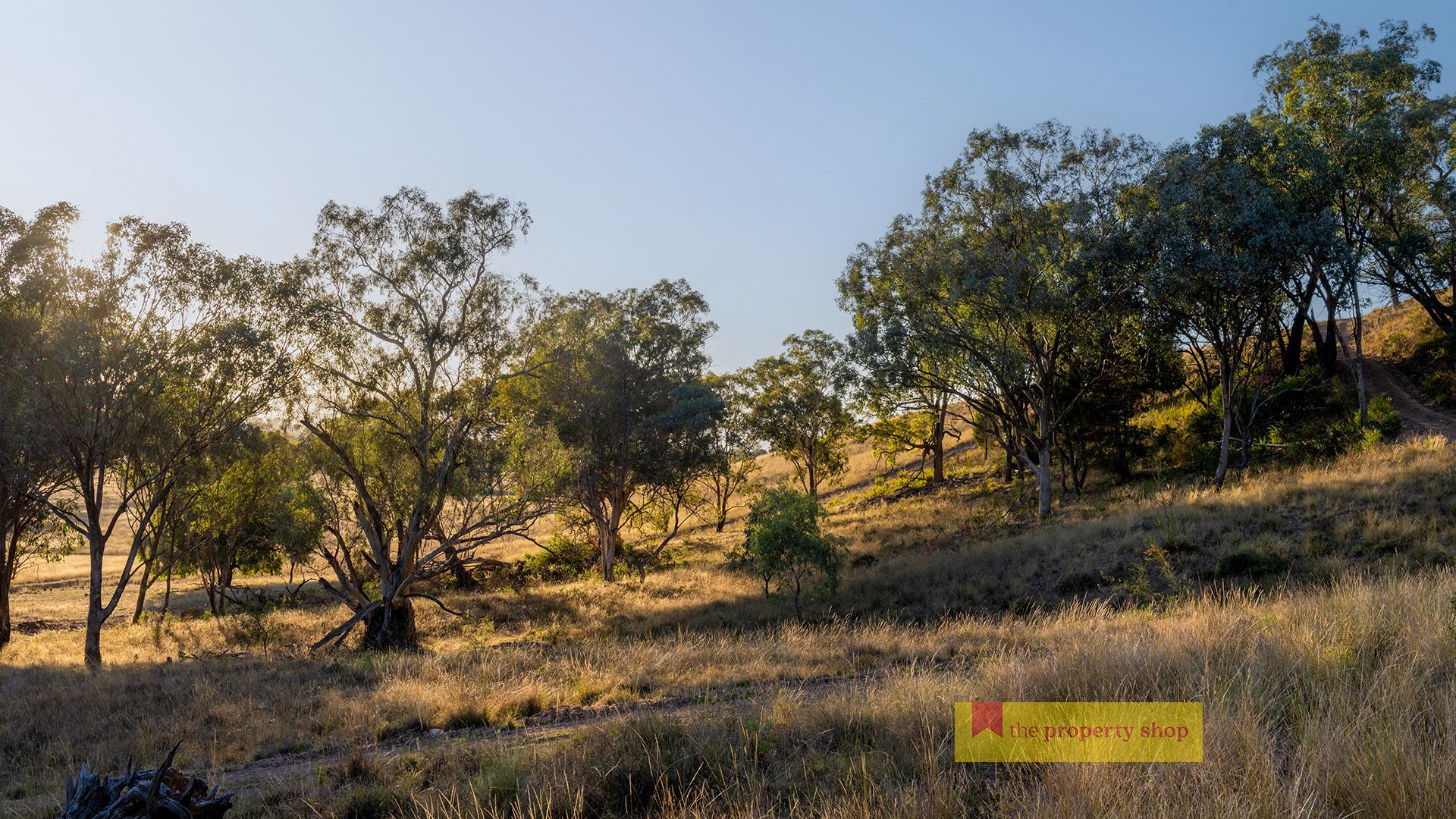 299 Lower Piambong Road, Mudgee NSW 2850, Image 1