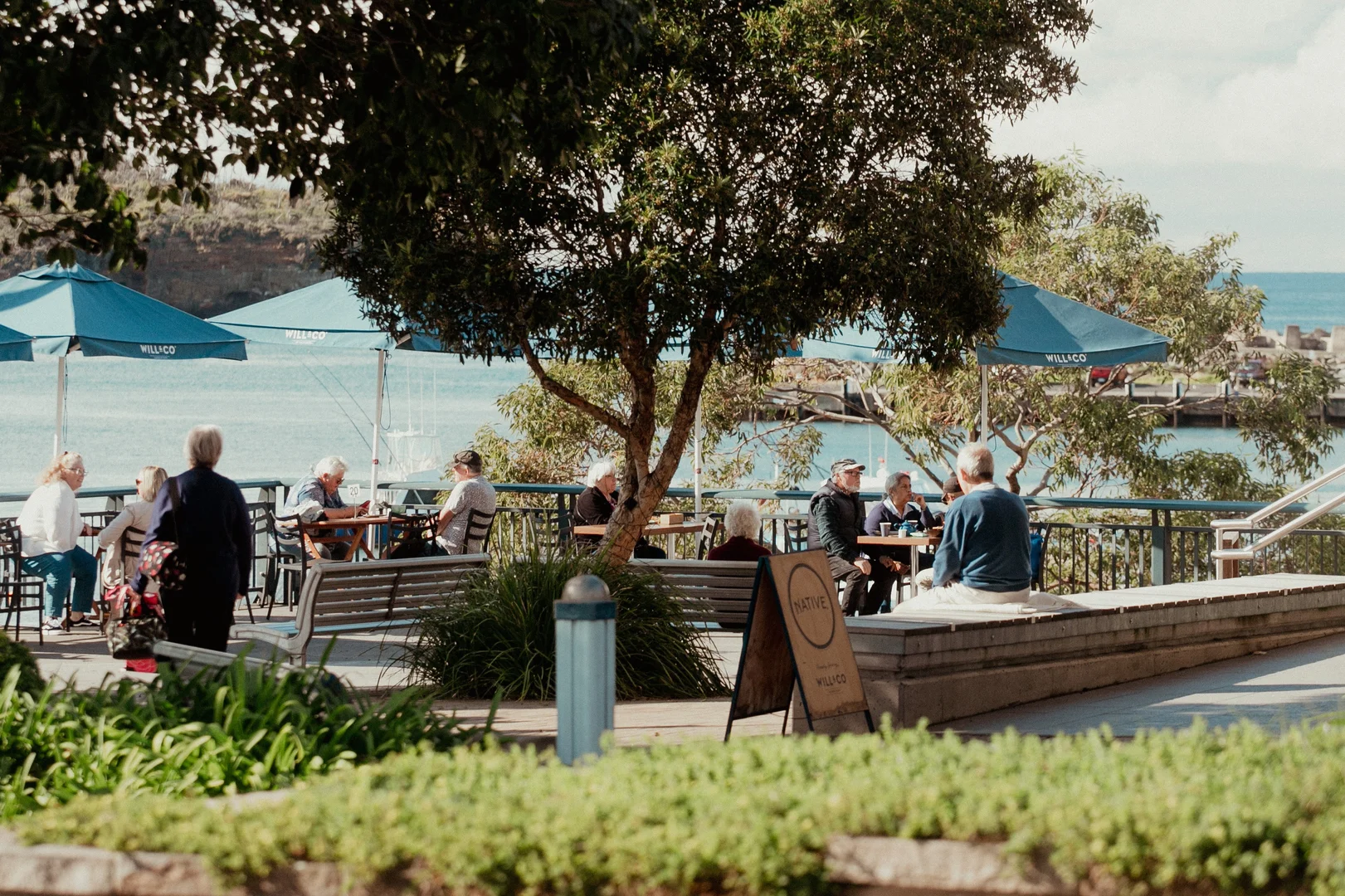 Image 15
