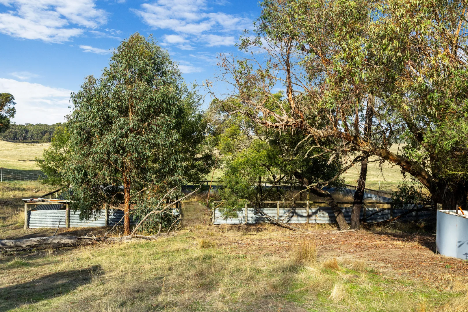 Image 15
