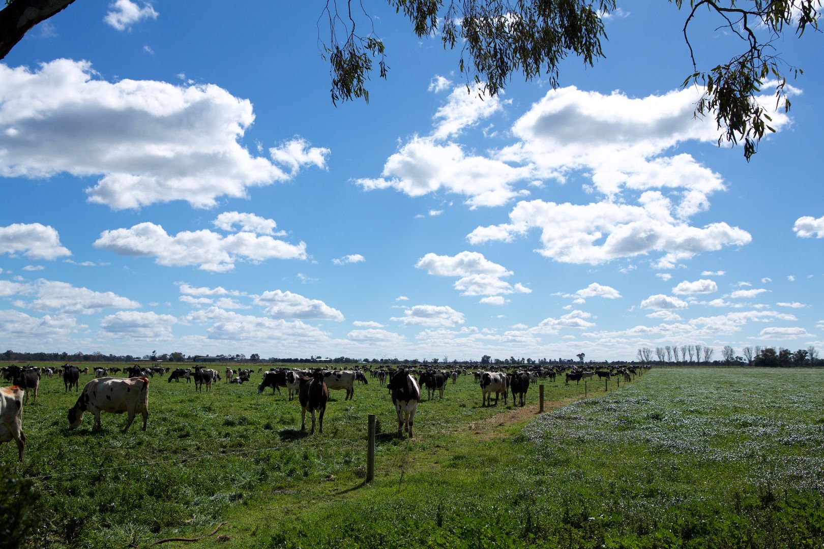 4209 Goulburn Valley Highway, Katunga VIC 3640, Image 2