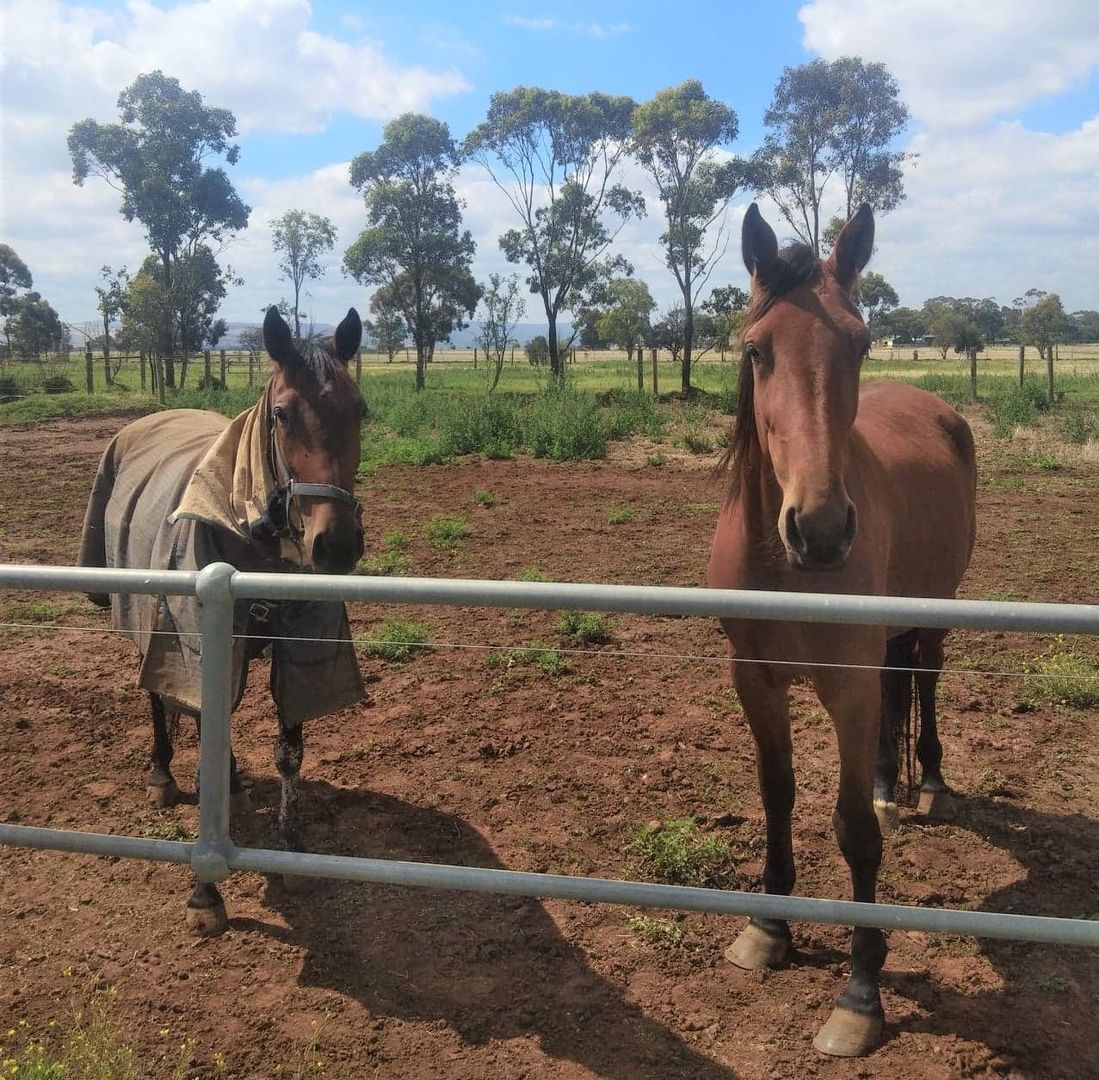 4049 GeelongBacchus Marsh Road, Parwan Property History & Address