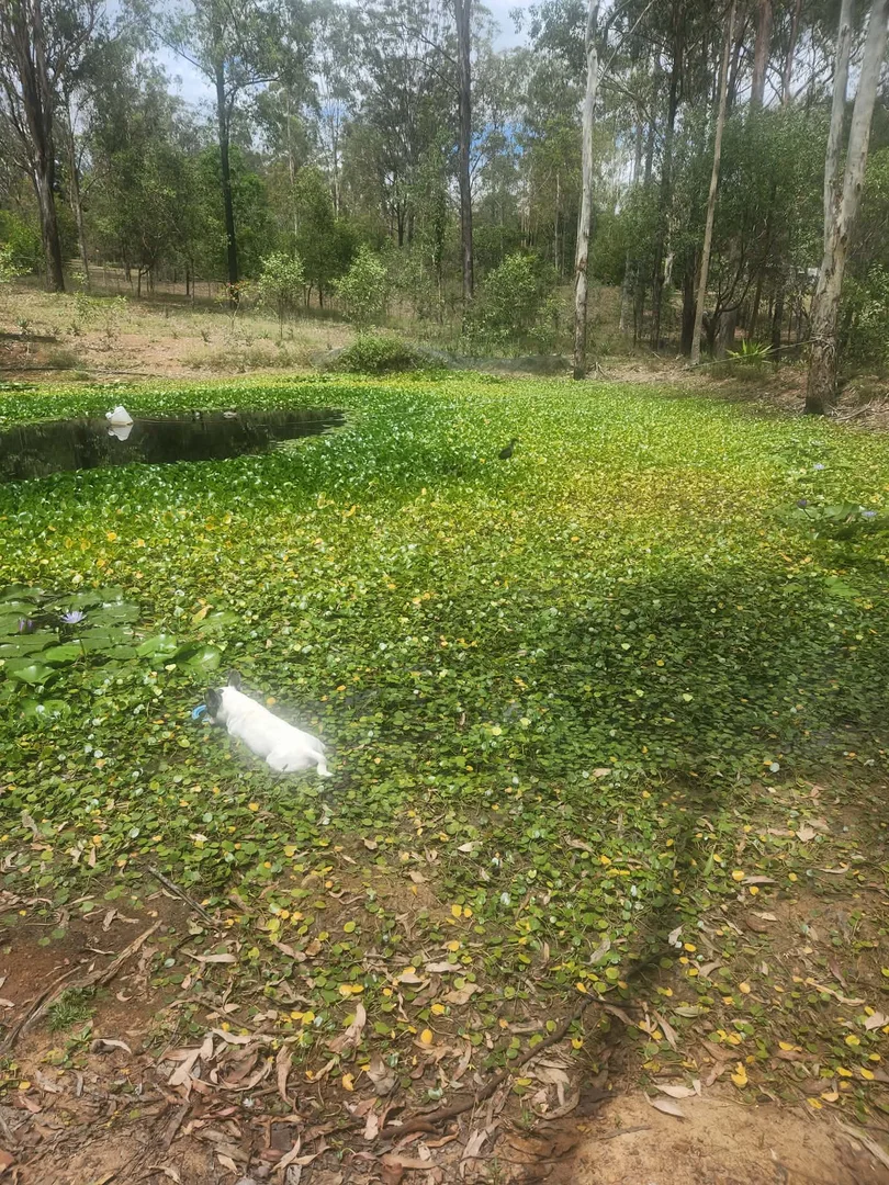 Image 19
