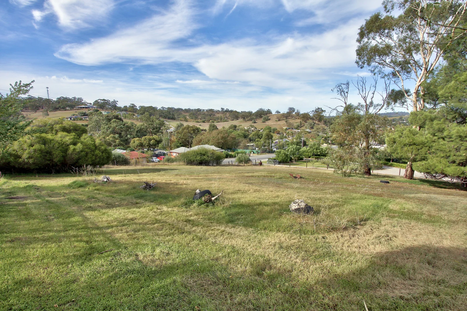 Image 14