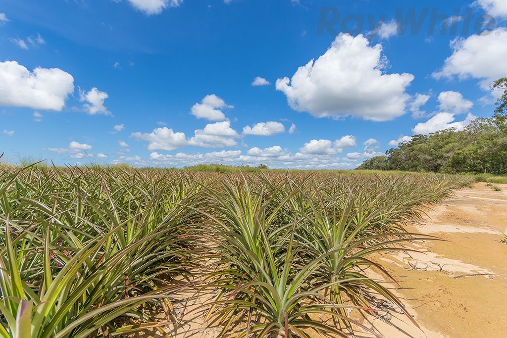 280 Child Road, Wamuran QLD 4512, Image 1