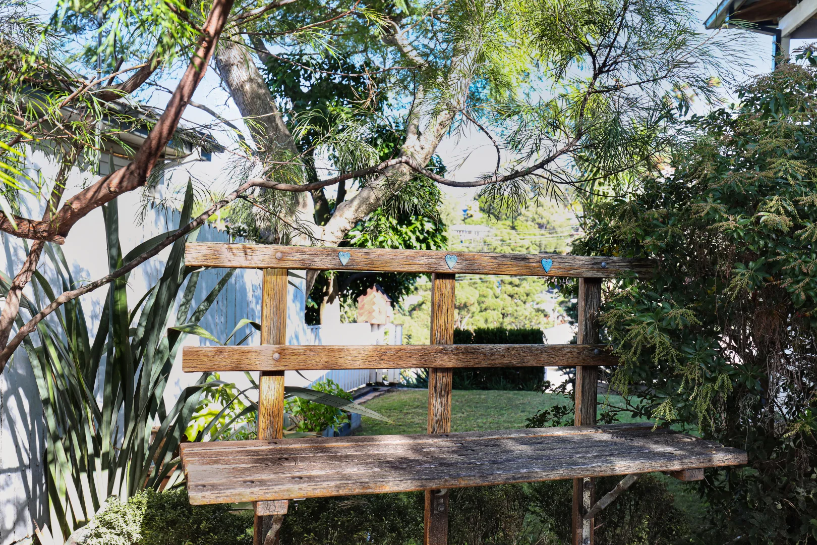 Image 13