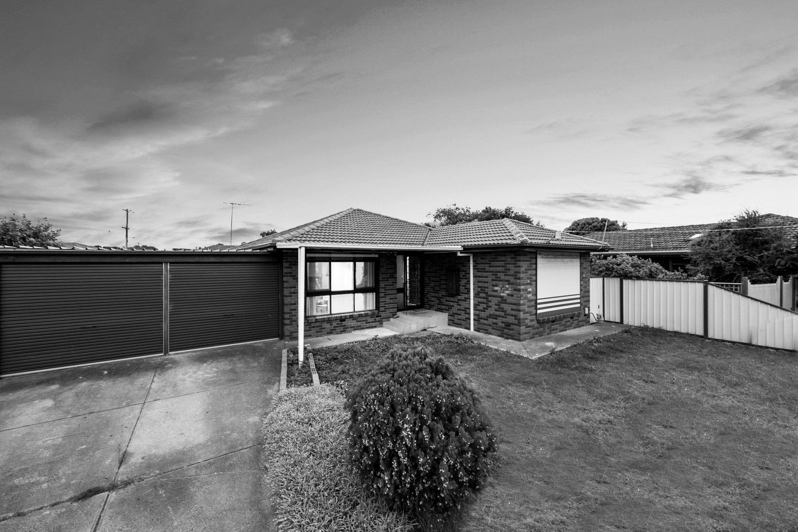 51 Tarlee Drive, Albanvale VIC 3021, Image 0