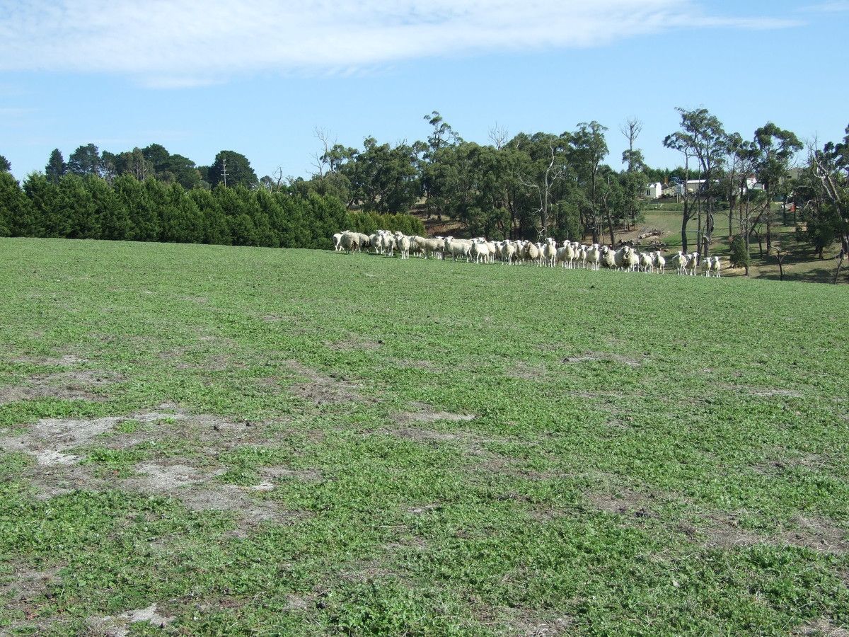 Lot 2 McGraths Track, Hernes Oak VIC 3825, Image 2