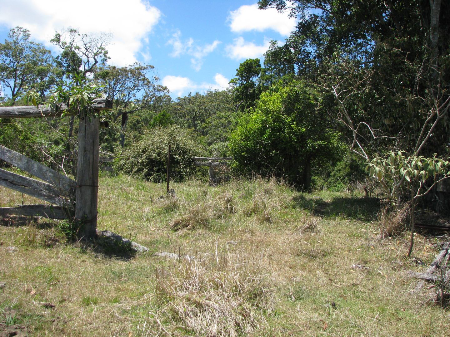 Lot 58 Hazelwood Road, Eungella QLD 4757, Image 2