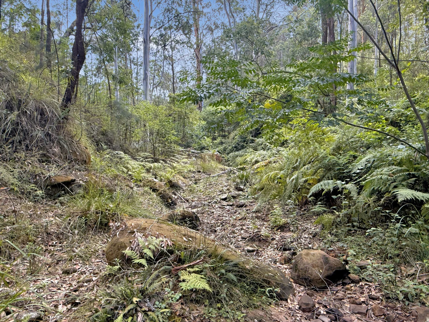 Image 15
