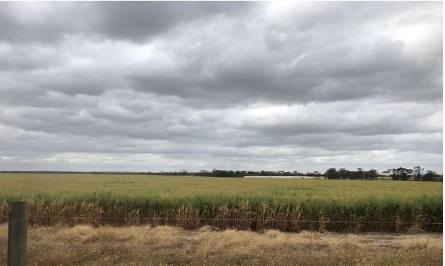 ' Johnson's Block, Mindarabin WA 6336, Image 2