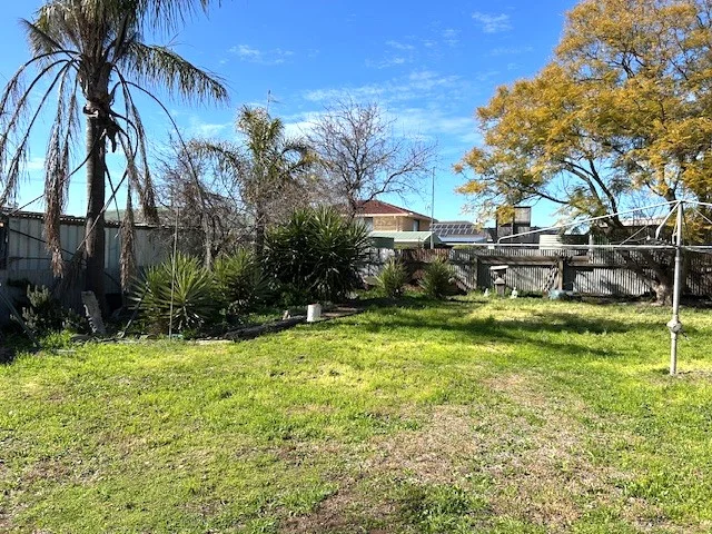 Image 21