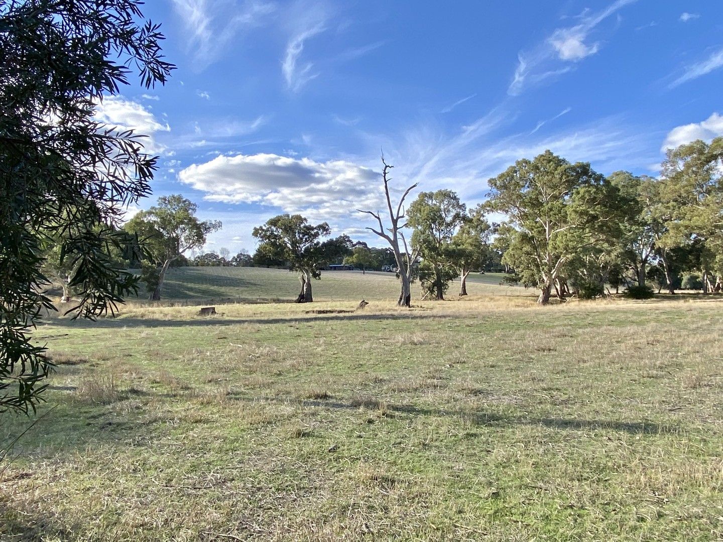 Lot 5 Watts Gully Road, Forreston SA 5233, Image 0