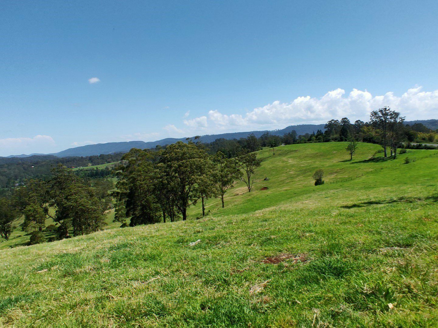 4743 Kyogle Road, Wadeville NSW 2474, Image 0