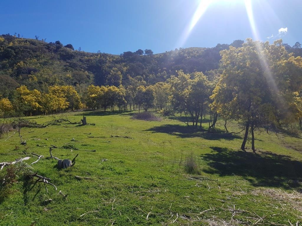 Lot 19 Nugents Road, Mount Alfred VIC 3709, Image 2