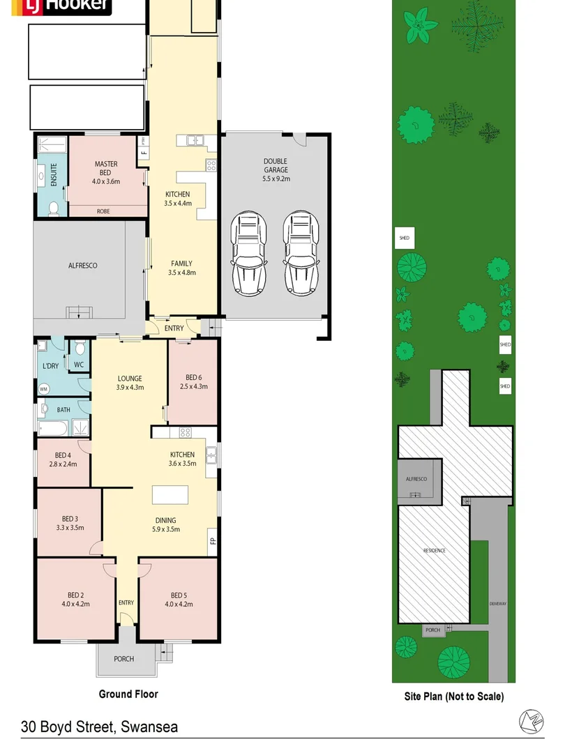 Image 5