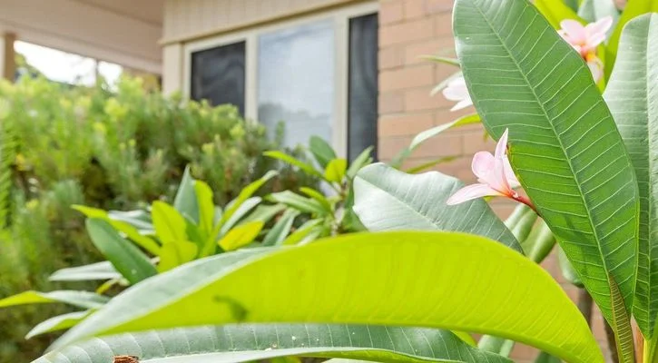 Additional image 12 of 20 Perdita Way, Coolbellup WA 6163