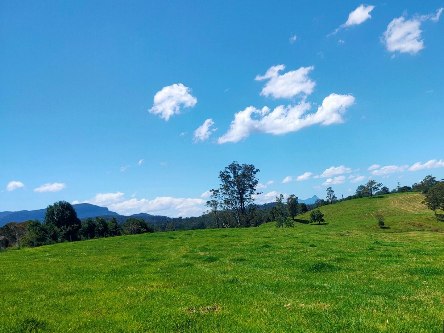 4743 Kyogle Road Wadeville, Kyogle NSW 2474, Image 0