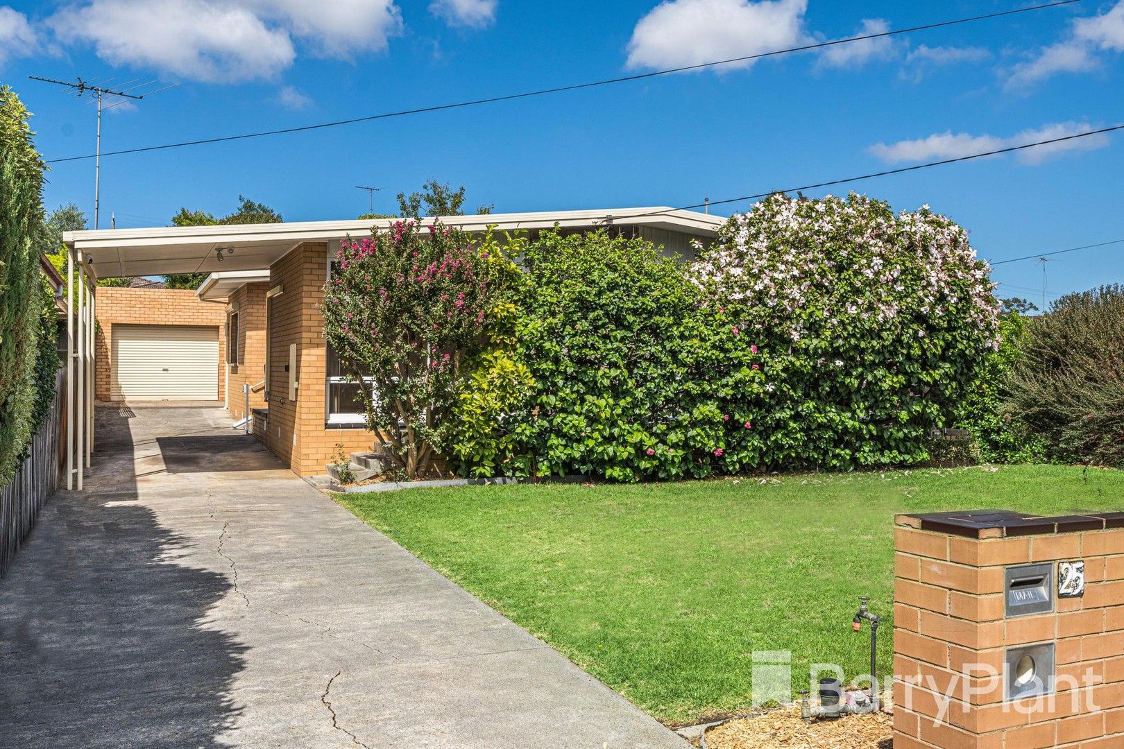 25 Kidman Avenue, Belmont VIC 3216, Image 0