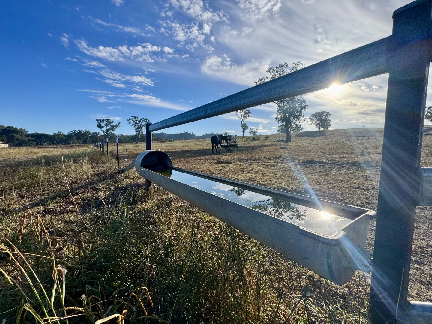 Additional image 17 of "Brentwood Park" 80 Sandy Creek Road, Blandford NSW 2338