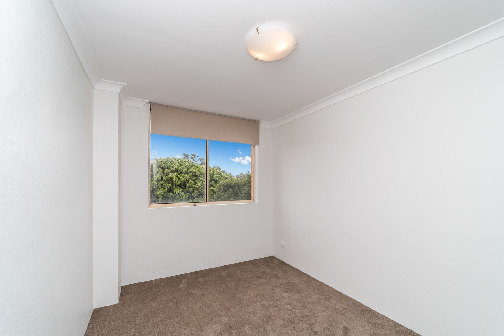 8/343 Sydney Road, Balgowlah NSW 2093 Apartment For Rent Domain