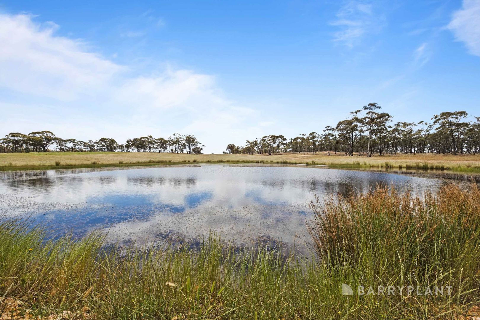 460 Maryborough - St Arnaud Road, Alma VIC 3465, Image 2