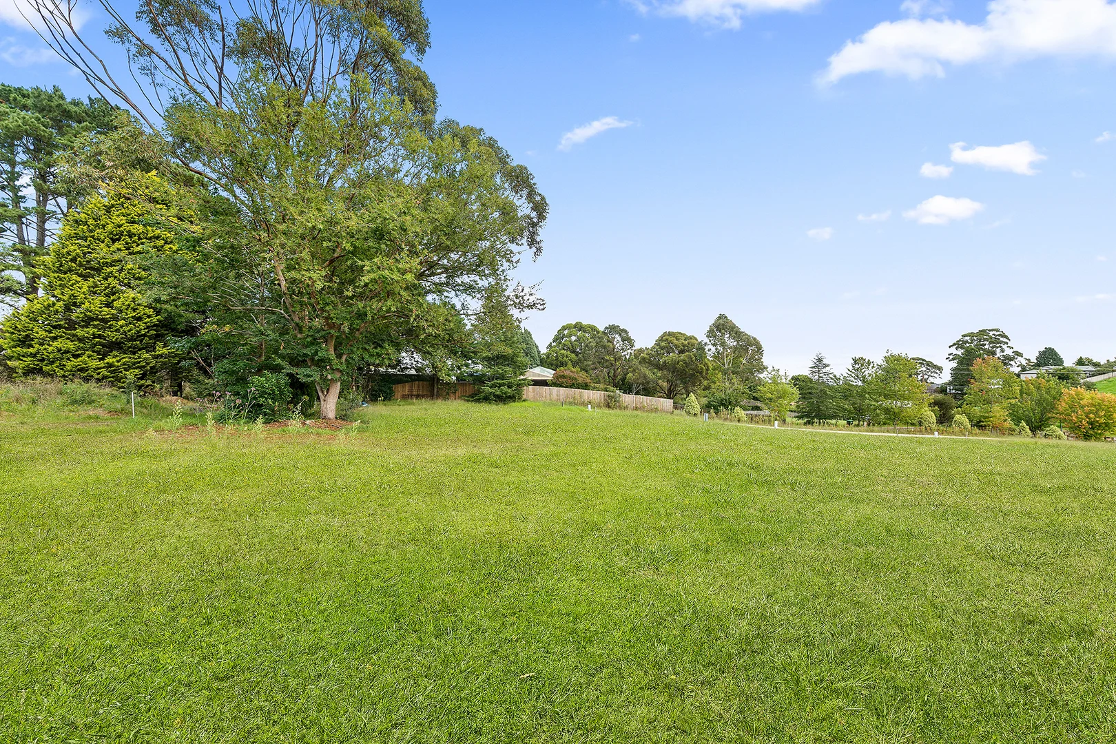 Additional image 8 of 42-48 Watson Road, Moss Vale NSW 2577