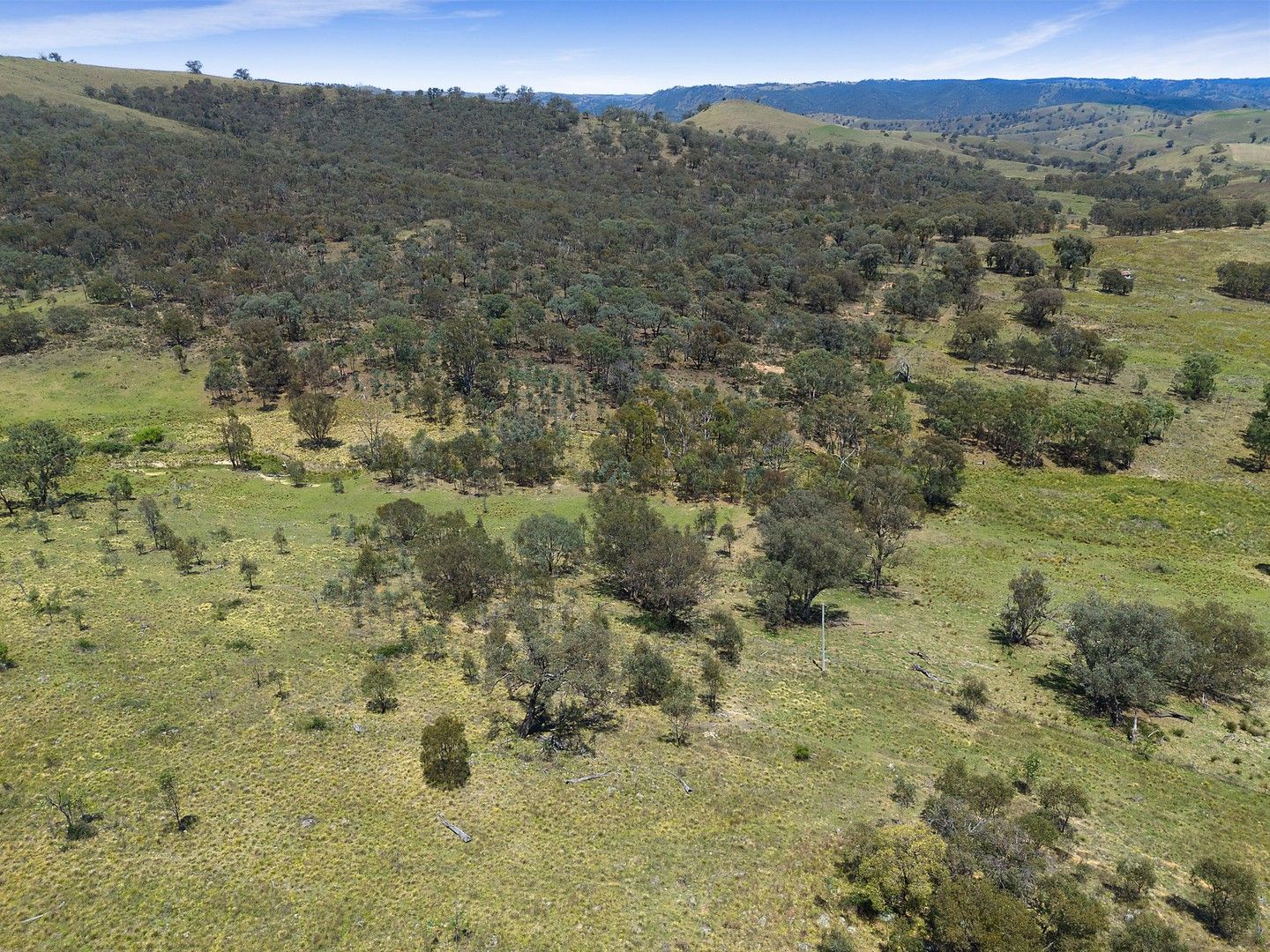 2238 Triamble Road, Mudgee NSW 2850, Image 1