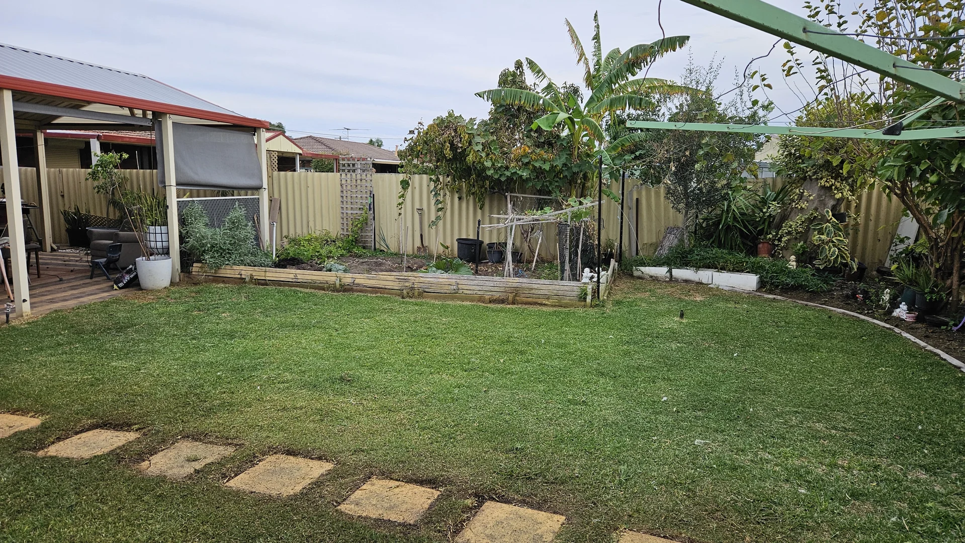 Image 15