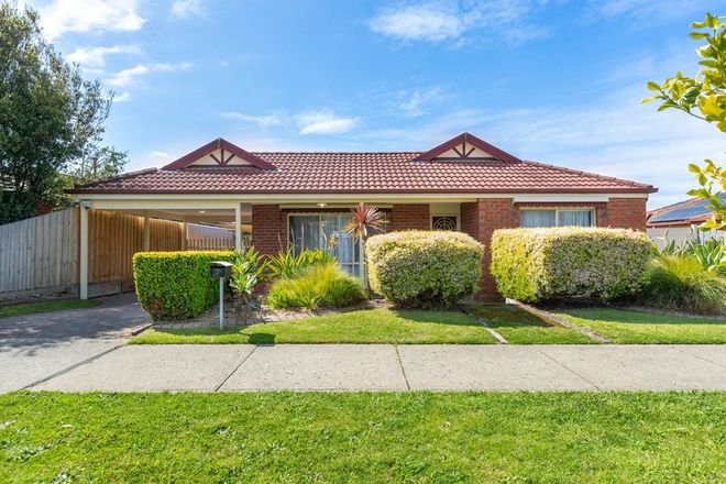 Picture of 7 Melrose Terrace, SOMERVILLE VIC 3912