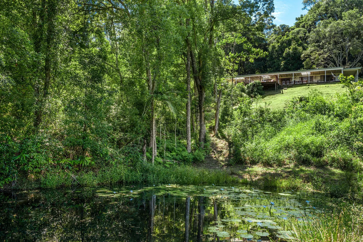 Additional image 3 of 129 Mafeking Road, Goonengerry NSW 2482