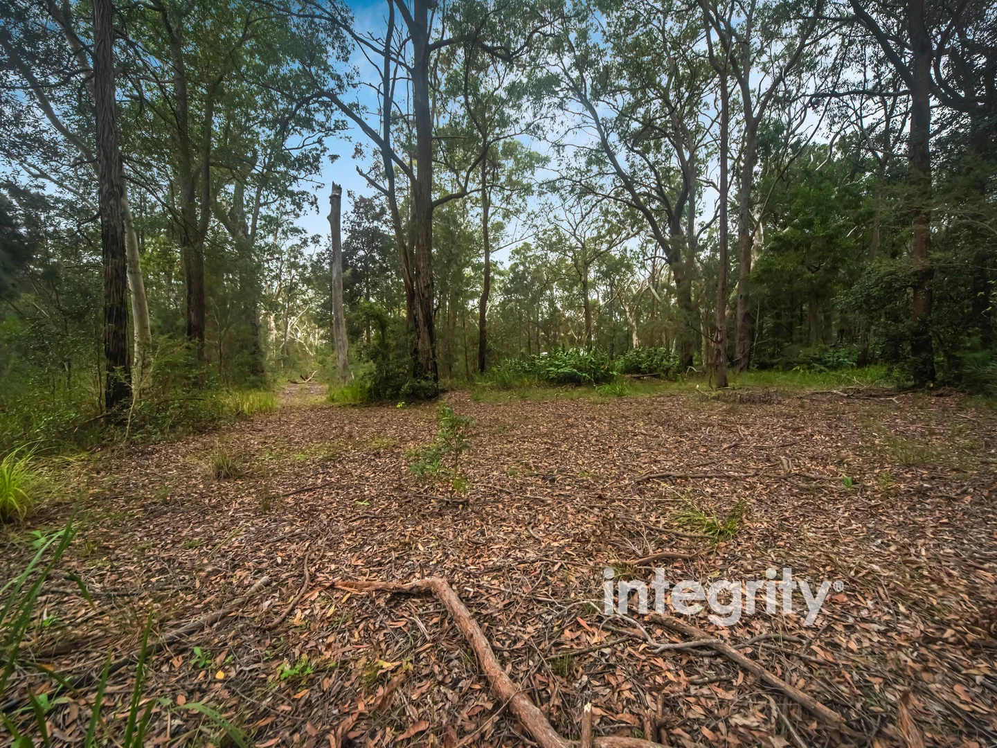 Image 6