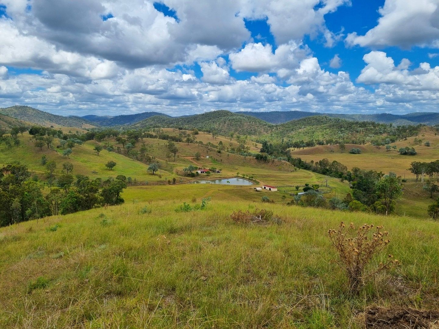 242 Avoca Creek, Avoca Vale QLD 4314 House for Sale Domain