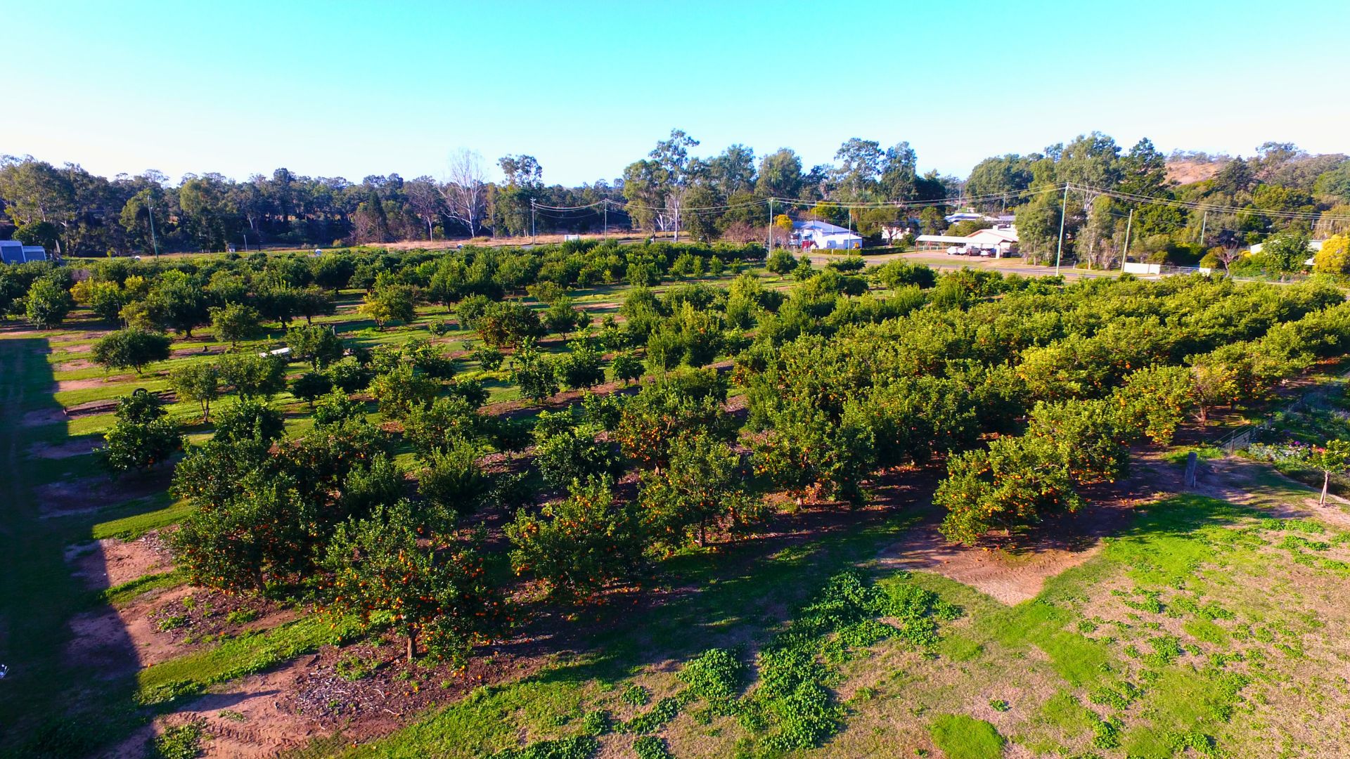 L14 Winifred Cobbo Street, Gayndah QLD 4625, Image 0