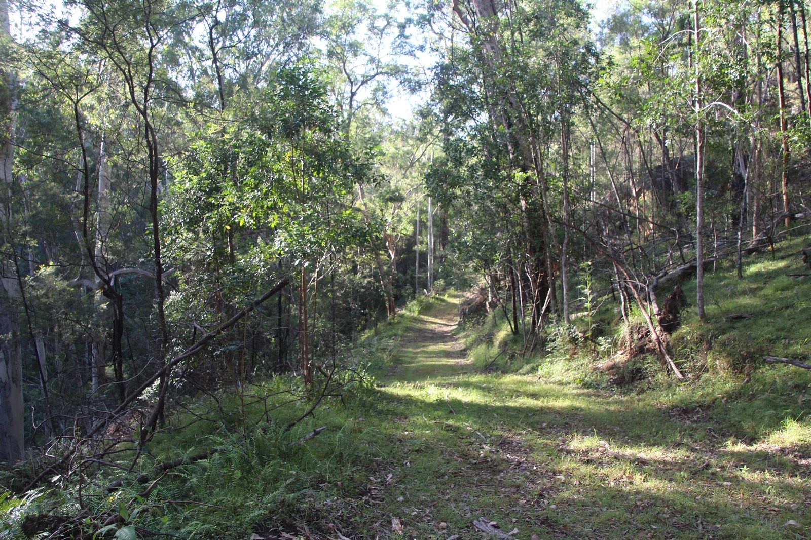 Lot 54 Putty Road, GARLAND VALLEY NSW 2330, Image 2