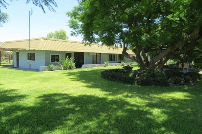 Picture of 430 Diamantina Road, BLACK JACK QLD 4820