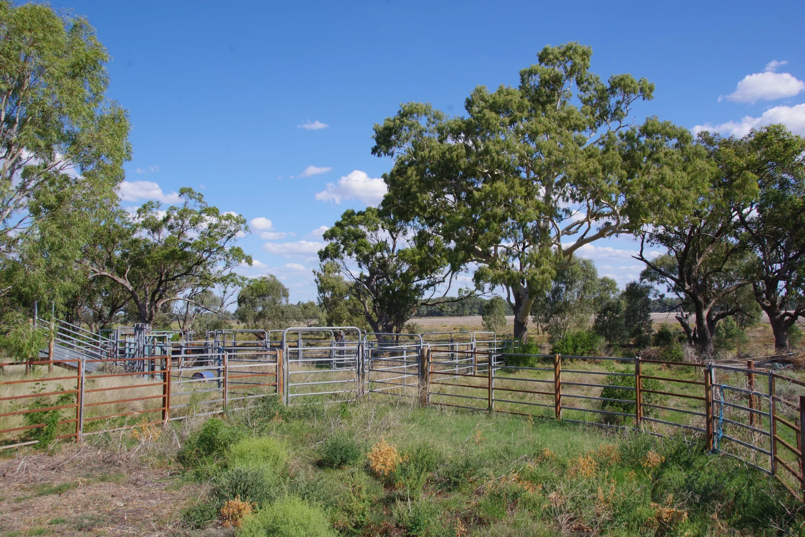Additional image 17 of 20841 Kamilaroi Highway, Narrabri NSW 2390
