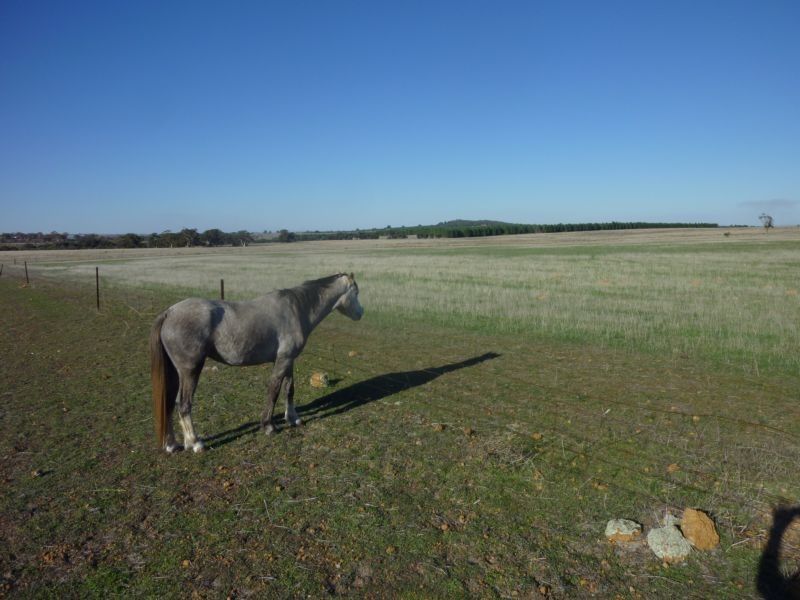 Lot 6 Maitland Rd, Beverley WA 6304, Image 0