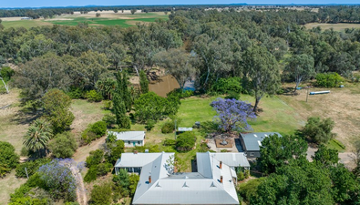 Picture of 193 Mcphillamys Lane, FORBES NSW 2871