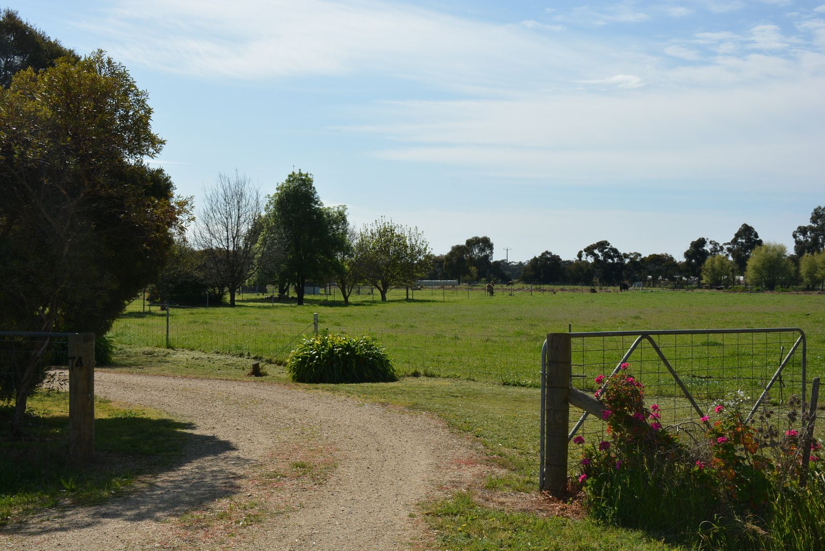 74 Mywee Rd, Strathmerton VIC 3641 House for Sale 900,000